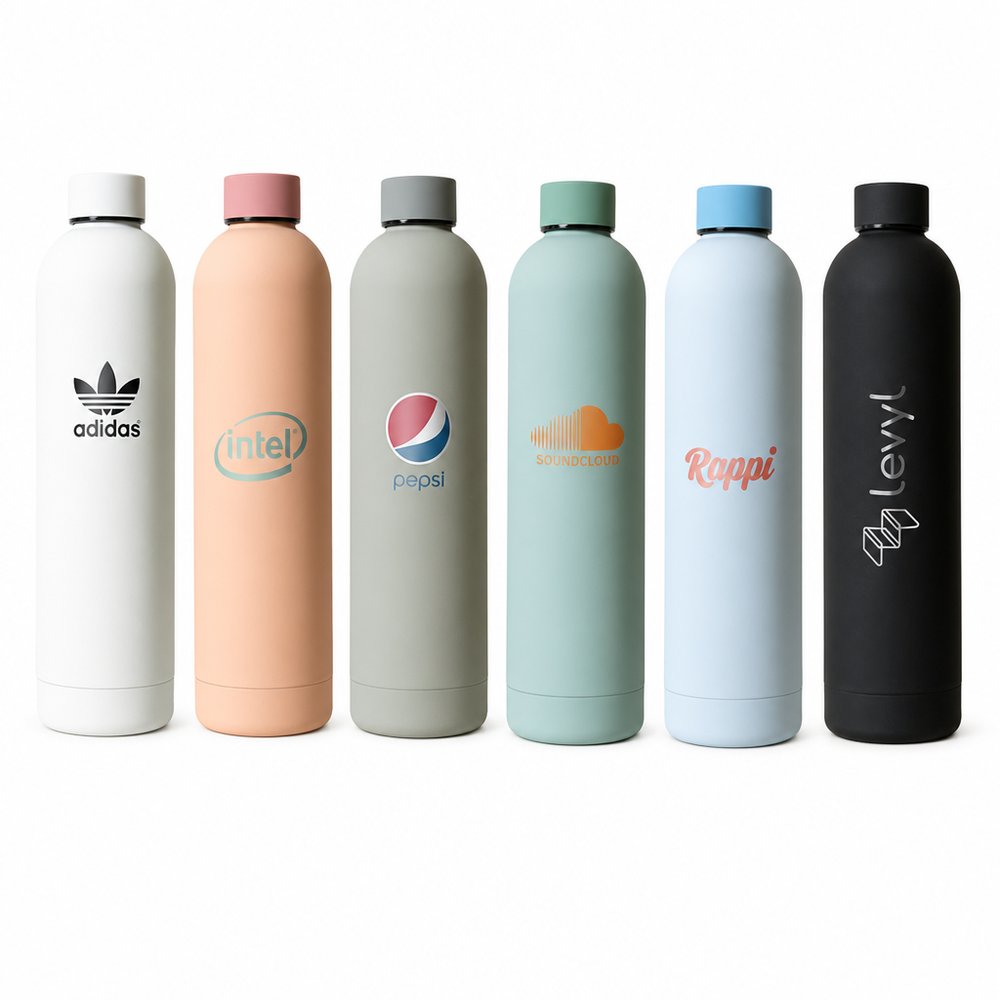 ディラン ダブル ウォール ウォーター ボトル (750ml)