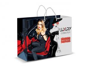 ノベルティ ラミネートカラープリントペーパーバッグ（Lrg）