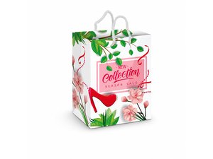 Promotional ラミネートカラープリントペーパーバッグ（Lrg）