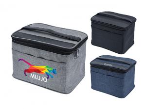 ノベルティ アクサープレミアムクーラーバッグ（6.6L）