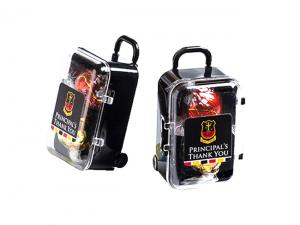 ノベルティ キャリーケースバッグにリントボール（x2）