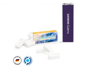 ノベルティ Sugar Free Mint Bars (10g)