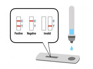 TESTSEALABS&reg; COVID-19 Antigen Test