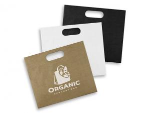 ノベルティ Large Landscape Paper Carry Bag (283mm x 330mm)