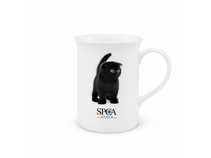 Promotional Veeフルカラーボーンチャイナコーヒーマグ（300ml）